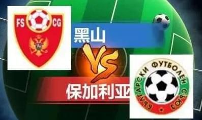 日本少妇在公交车被强进