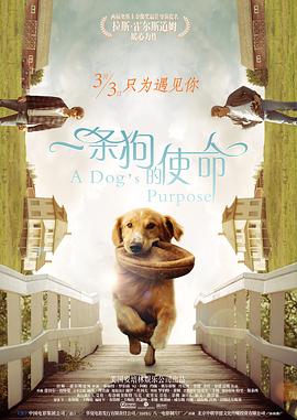 国产精品爱久久久久久久三级