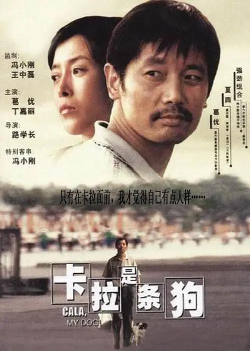 情侣免费看电视剧