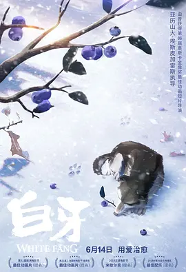 踢裆vk