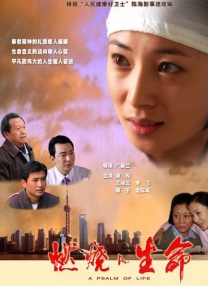 麻豆视频播放
