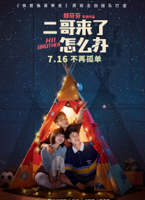 新来的女律师