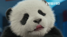 黄历书看日子