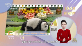 欧美午夜不卡在线